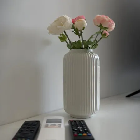 Appartement Skau Zuckermandel Danube View Free Parking